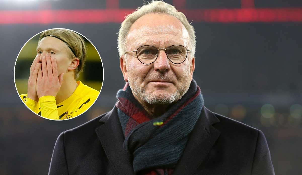 金山世游携手网龙再塑经典 《风暴魔域2》定档7月